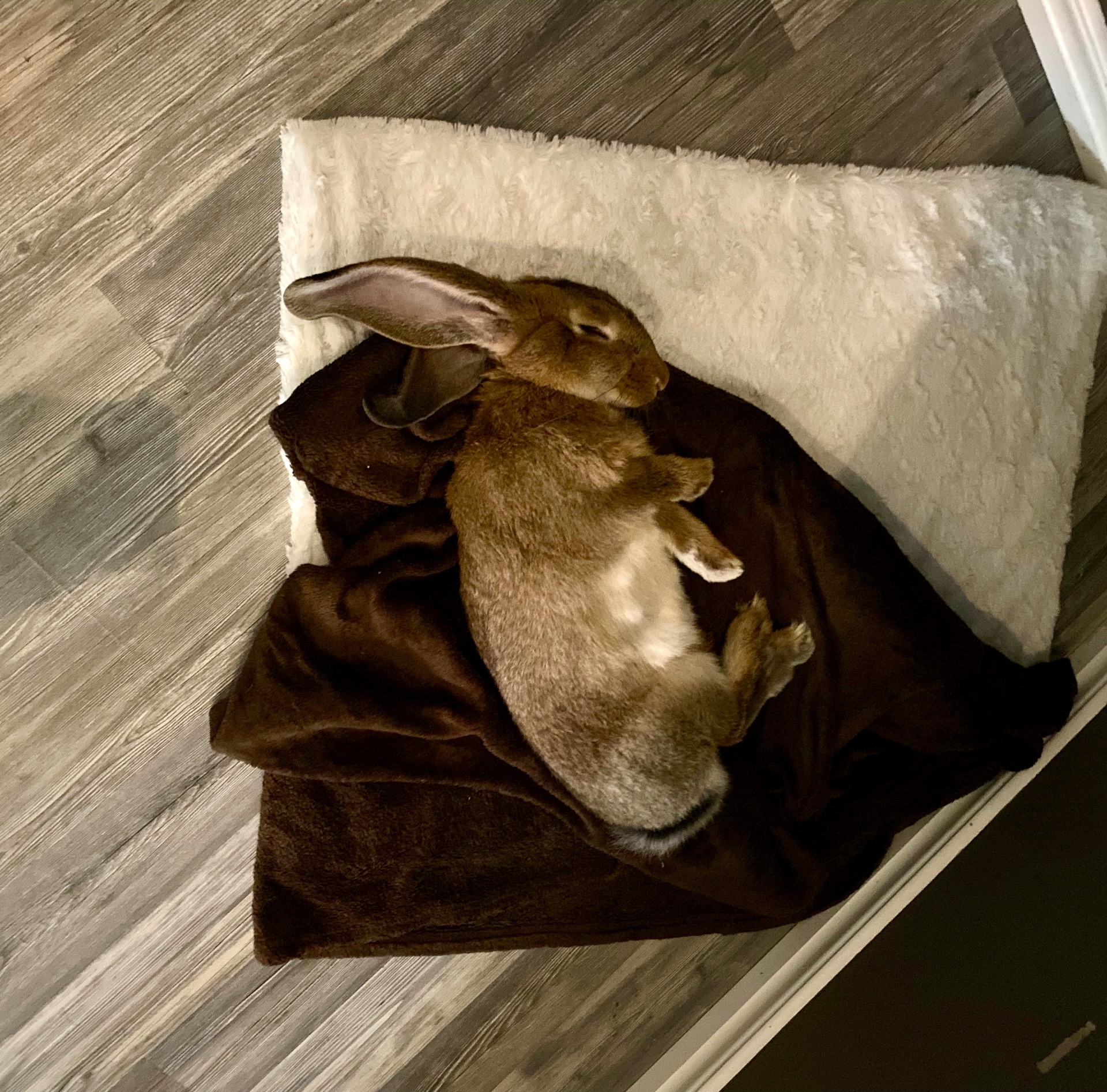 Tuva. Maj-Oktober 2020