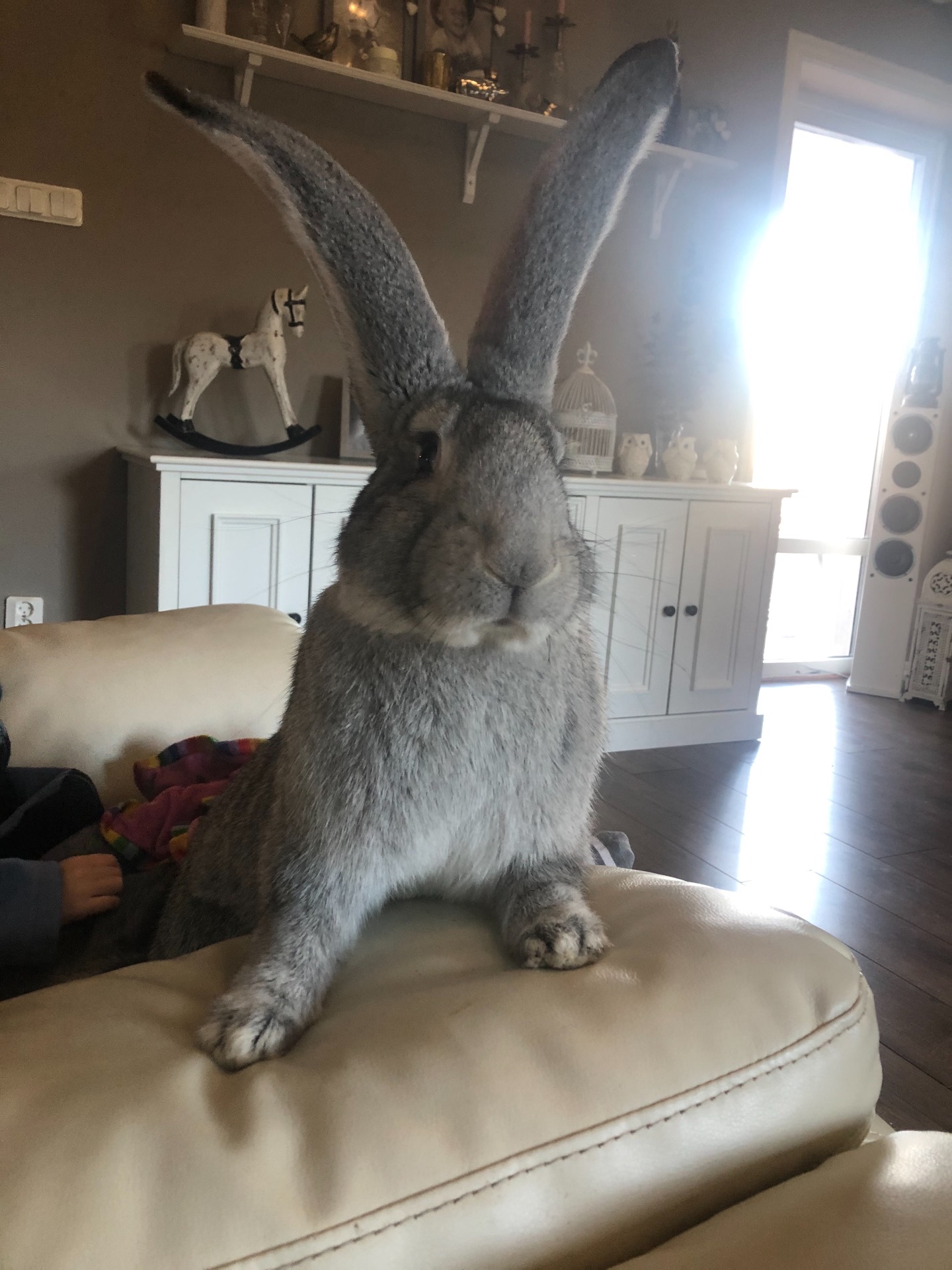 Åke. September-19 - Augusti-20